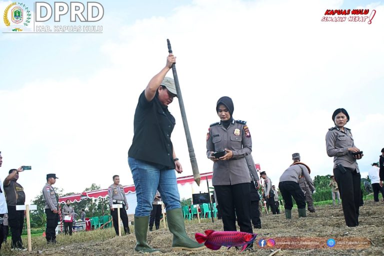 DPRD Kabupaten Kapuas Hulu Dukung Penanaman Jagung Serentak Kuartal III