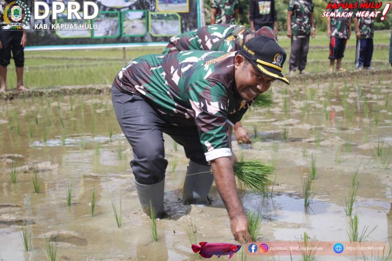 DPRD Kapuas Hulu Hadiri dan Ikuti Tanam Perdana di Desa Lubuk Antuk
