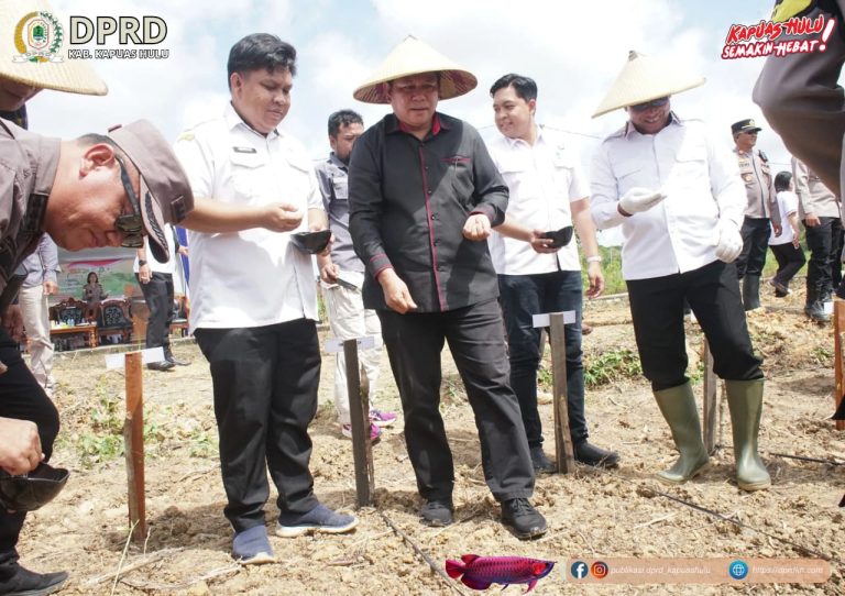 Ketua DPRD Kapuas Hulu Hadiri Penanaman Jagung Serentak Kwartal IV di Desa Kedamin Darat